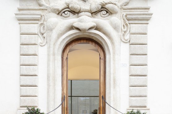 Collections & Initiatives