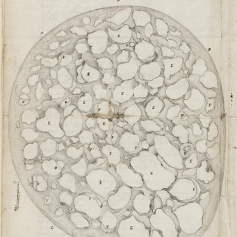 Unbekannter Künstler für Antoni van Leeuwenhoek. Querschnitt des Sehnervs einer Kuh, 4. Dezember 1674. Graphit und Tinte auf Papier. 303 x 215 mm. London. Archiv: The Royal Society, EL/L1/9. Unbekannter Künstler für Antoni van Leeuwenhoek. Querschnitt des Sehnervs einer Kuh, 4. Dezember 1674. Graphit und Tinte auf Papier. 303 x 215 mm. London. Archiv: The Royal Society, EL/L1/9.