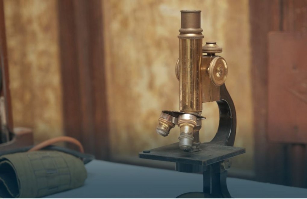 Ach, Mensch! | Sietske Fransen über wissenschaftliches Mikroskopieren