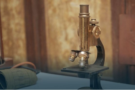 Ach, Mensch! | Sietske Fransen über wissenschaftliches Mikroskopieren