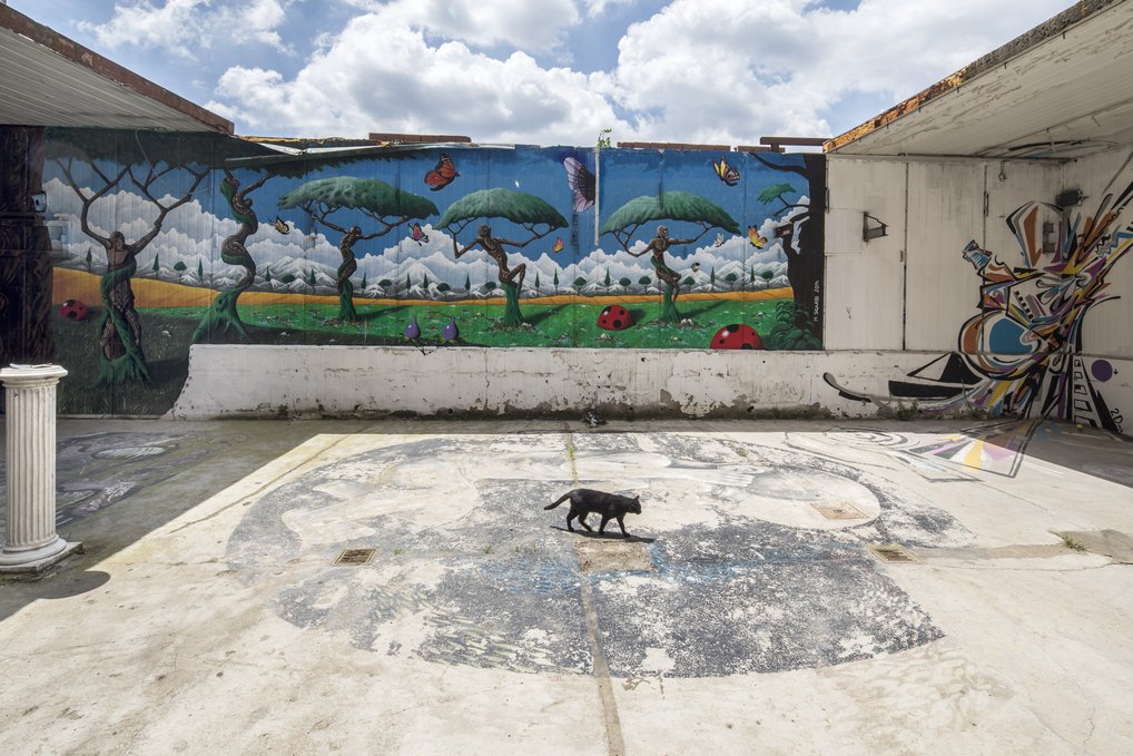 Ressourcen für die Wissenschaft: Fotothek