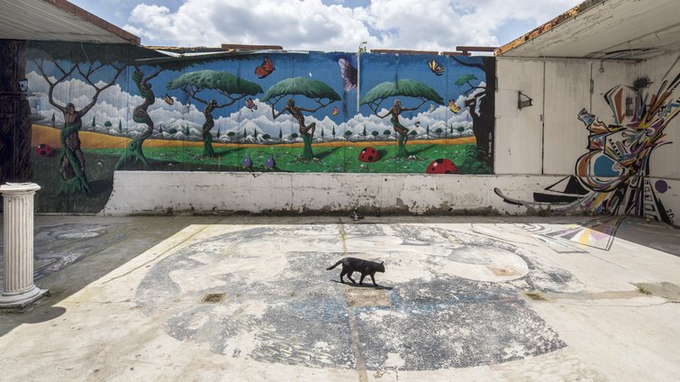 Scientific Resources: Photographic Collection