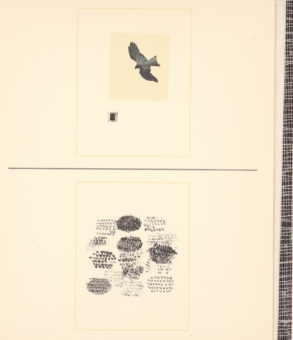 Lidia Firpo, Rom 1982 Lidia Firpo, Rom 1982