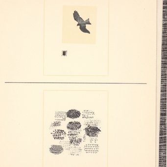 Lidia Firpo, Rom 1982  Lidia Firpo, Rom 1982