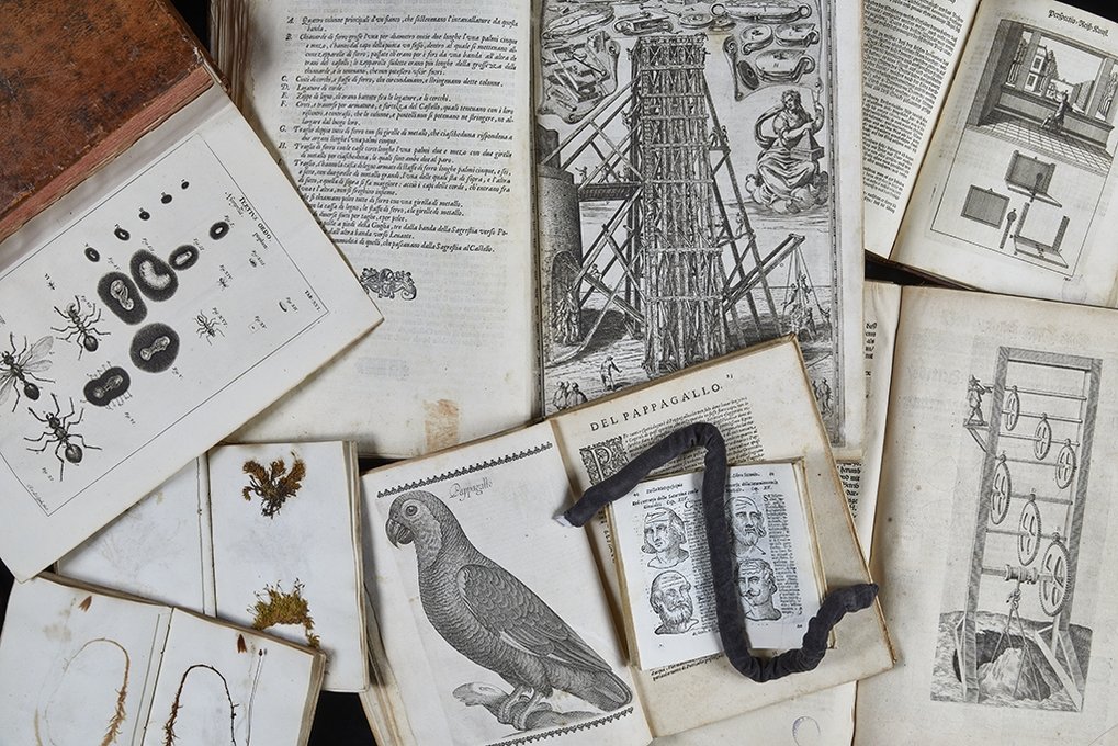 Visualizing Science in the Rare Book Collections of the Bibliotheca Hertziana