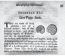 Picturing Seeds of Poppy: Microscopes, Specimens and Visualization in 17th Century England<i></i><sub></sub><sup></sup> Picturing Seeds of Poppy: Microscopes, Specimens and Visualization in 17th Century England<i></i><sub></sub><sup></sup>