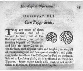 Picturing Seeds of Poppy: Microscopes, Specimens and Visualization in 17th Century England<i></i><sub></sub><sup></sup>