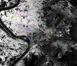 Towering over Late Medieval and Early Renaissance Rome: 3D Mapping the City’s Network of Surveillance and Power 