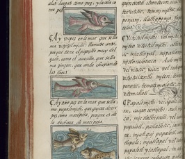 The Three Narratives of the Florentine Codex: Discrepancies and Complementarity between Texts and Images The Three Narratives of the Florentine Codex: Discrepancies and Complementarity between Texts and Images